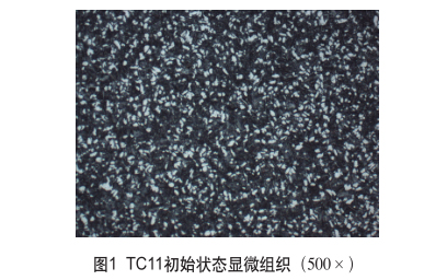TC11初始狀態(tài)顯微組織（500×）